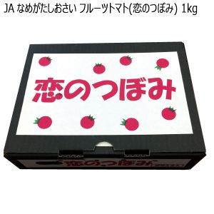 茨城県産JAなめがたしおさいフルーツトマト(恋のつぼみ)1kg「お届け期間」2025/10/15〜2025/10/31【KN】