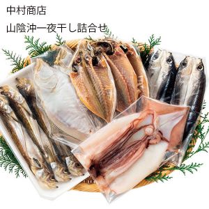 鳥取県 中村商店 山陰沖一夜干し詰合せ 【お届け期間:6月11日〜8月25日】【NN】