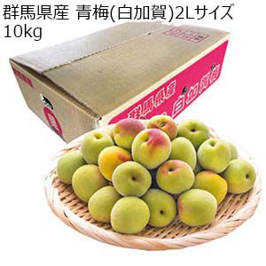 群馬県産 青梅(白加賀)2Lサイズ10kg【お届け期間：5月25日〜6月7日】【KN】