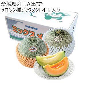 茨城県 JAほこた メロン2種ミックス2L4玉入り(アンデス2玉、クインシー2玉【お届け期間：5月15日〜6月30日】【KN】