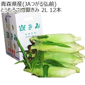 青森県産(JAつがる弘前) とうもろこし 嶽きみ 2L 12本【お届け期間：8月25日〜9月20日】【おいしいお取り寄せ】