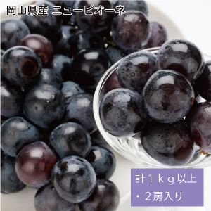 岡山県産 ピオーネ 計1kg以上・2房入り【お届け期間:7月1日〜8月10日】【NN】