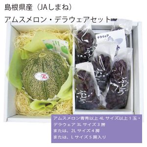 島根県産(JAしまね) アムスメロン・デラウェアセット アムスメロン青秀以上4L以上1玉・ デラウェア3L3房または、2L4房または、L5房入り 【お届け期間:6月2日〜7月18日】【NN】