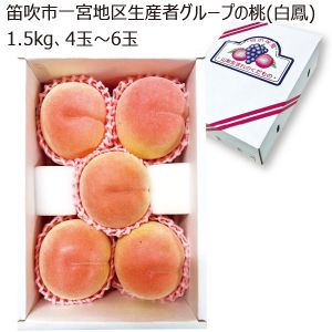 山梨県産 笛吹市一宮地区生産者グループの桃 白鳳 1.5kg 4玉〜6玉【限定200点】【お届け期間:6/25(水)〜7/20(日)】【MK】