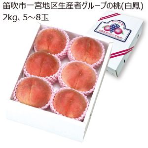 山梨県産 笛吹市一宮地区生産者グループの桃 白鳳 2kg 5玉〜8玉【限定200点】【お届け期間:6/25(水)〜7/20(日)】【MK】