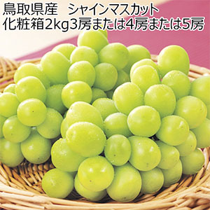 鳥取県産(JA鳥取中央)ぶどう(シャインマスカット)化粧箱2kg3房または4房または5房【お届け期間:9月1日〜9月30日】【NN】