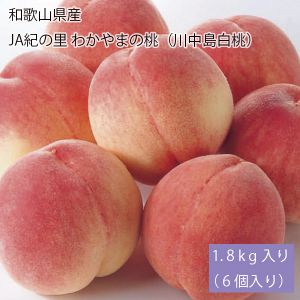 和歌山県産JAわかやま(紀の里地域本部) わかやまの桃(川中島白桃)1.8kg入り(6個入り)(お届け期間:7月25日〜8月10日)【NN】