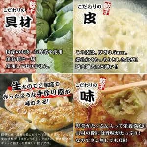 大阪 原田屋 生餃子100個 生餃子(17g×20個)5、餃子のたれ10g×10【NN】