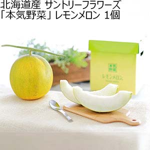 北海道産 サントリーフラワーズ「本気野菜」 レモンメロン 1.34〜1.99kg 1個【お届け期間：6月15日〜8月15日】【おいしいお取り寄せ】