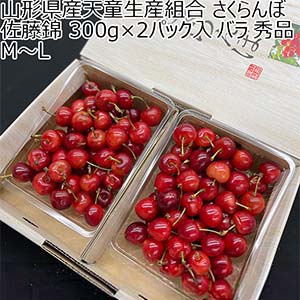 山形県産天童生産組合 さくらんぼ 佐藤錦 300g×2パック入 バラ 秀品 M〜L【お届け期間：6月1日〜6月30日】【おいしいお取り寄せ】