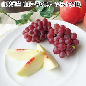 山形県産 山形・夏のフルーツセット(2種)(お届け期間：8/21〜8/31)【夏の贈りもの・お中元】