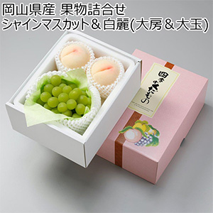 岡山県産 果物詰合せ シャインマスカット＆白麗(大房＆大玉)【限定50点】【お届け期間：8月5日〜8月16日】【おいしいお取り寄せ】