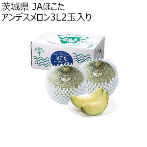 茨城県 JAほこた アンデスメロン3L2玉入り【お届け期間：5月12日〜6月30日】【KN】