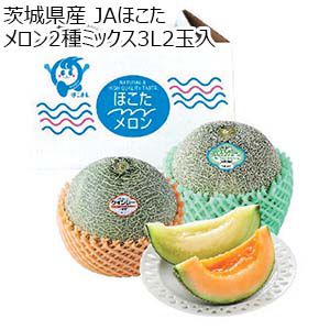 茨城県 JAほこた メロン2種ミックス3L2玉入(なだろうグリーン1玉・クインシー1玉)【お届け期間：6月1日〜6月30日】【KN】