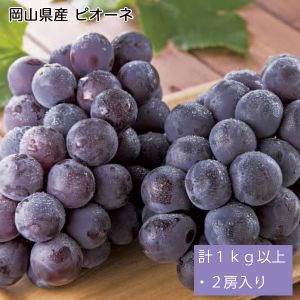 岡山県産 ピオーネ 計1kg以上・2房入り【お届け期間:9月1日〜10月10日】【NN】