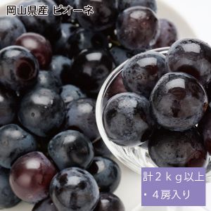 岡山県産 ピオーネ 計2kg以上・4房入り【お届け期間:9月1日〜10月10日】【NN】