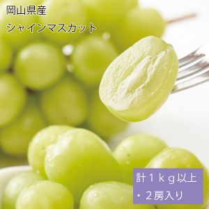 岡山県産 シャインマスカット 計1kg以上・2房入り【お届け期間:9月1日〜10月10日】【NN】