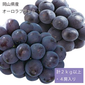 岡山県産 オーロラブラック 計2kg以上・4房入り【お届け期間:9月5日〜9月28日】【NN】