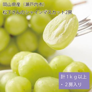 岡山県産(瀬戸内市)松下さんのシャインマスカット2房 計1kg以上・2房入り【お届け期間:9月1日〜9月30日】【NN】
