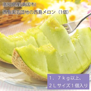 高知県産(南国市) 西島園芸団地の西島メロン 1.7kg以上、2Lサイズ1個入り【お届け期間:6月10日〜8月10日】【NN】