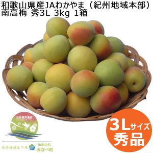 和歌山県産JAわかやま(紀州地域本部) 南高梅 秀3L 3kg 1箱【お届け期間:6/6(金)〜6/15(日)】【CB】