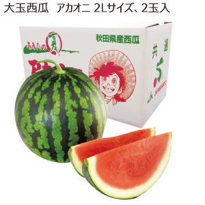秋田県産 大玉西瓜 アカオニ 2Lサイズ 2玉入 【限定100点】【お届け期間:7/25(金)〜8/15(金)】【MK】