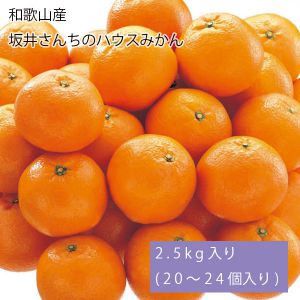 和歌山県産 坂井さんちのハウスみかん 2.5kg入り(20個〜24個入り)(お届け期間:7月1日〜8月7日)【NN】